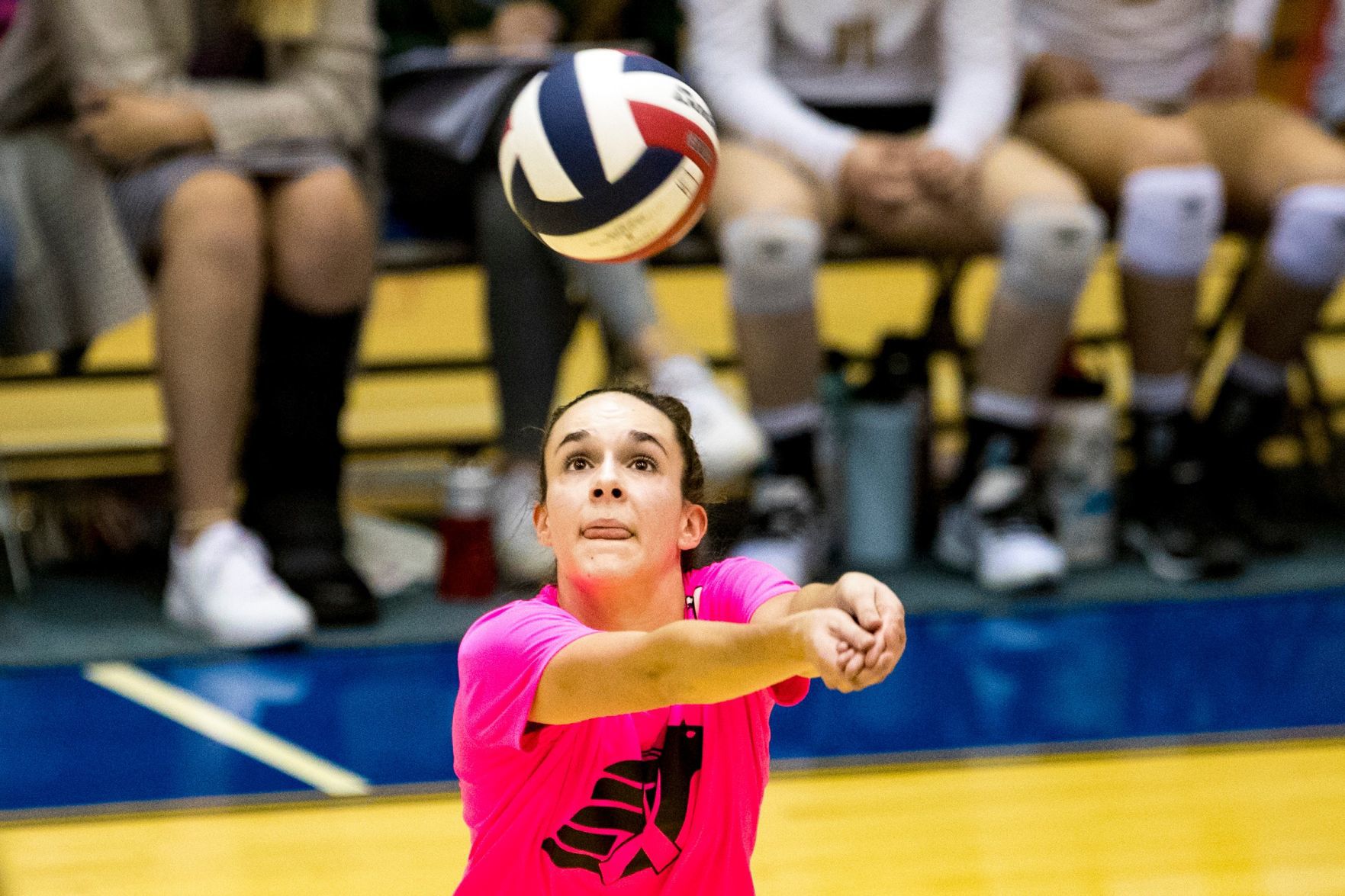 Pack the Place in Pink